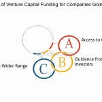 Can Vc Firms Go Public?