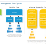How Does Carry in a Vc Partnership Vest