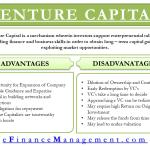 What Are All Pros and Cons of Venture Capital?