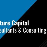 What Kind of Consultants Do Venture Capital Firms Use