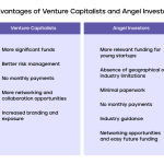 What is Difference Between Angel Investor and Venture Capitalist
