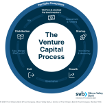 Why Are Venture Capital Funds Mostly for Tech Startups?